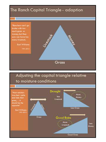 newsletter-201302-triangle