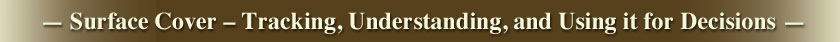 newsletter-banner-201112